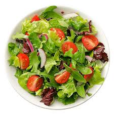 Homemade Salad Box 130-160 | گھریلو سلاد باکس